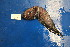  ( - UW157052)  @11 [ ] Unspecified (default): All Rights Reserved  Unspecified Unspecified
