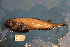  ( - UW157089)  @11 [ ] Unspecified (default): All Rights Reserved  Unspecified Unspecified