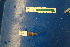  ( - UW157094)  @11 [ ] Unspecified (default): All Rights Reserved  Unspecified Unspecified