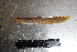  ( - KME12-4)  @12 [ ] No Rights Reserved (2011) Unspecified Institute of Marine Biology, Vladivostok