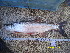  ( - CHE12-2)  @11 [ ] No Rights Reserved  Unspecified Unspecified