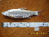  ( - CHM12-5)  @11 [ ] No Rights Reserved  Unspecified Unspecified
