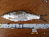  ( - HEL12-1)  @11 [ ] No Rights Reserved  Unspecified Unspecified