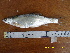  ( - HEL12-3)  @11 [ ] No Rights Reserved  Unspecified Unspecified