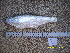  ( - HELU12-1)  @11 [ ] No Rights Reserved  Unspecified Unspecified