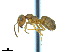  ( - BL-10540U-F12)  @13 [ ] CreativeCommons - Attribution Non-Commercial Share-Alike (2014) Alex Smith University of Guelph