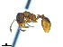  ( - BL-10540V-D08)  @13 [ ] CreativeCommons - Attribution Non-Commercial Share-Alike (2014) Alex Smith University of Guelph