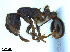  ( - BL-10540W-C05)  @11 [ ] CreativeCommons - Attribution Non-Commercial Share-Alike (2014) Alex Smith University of Guelph