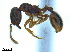  ( - BL-10540W-C08)  @13 [ ] CreativeCommons - Attribution Non-Commercial Share-Alike (2014) Alex Smith University of Guelph