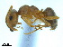  ( - BL-10540W-D11)  @13 [ ] CreativeCommons - Attribution Non-Commercial Share-Alike (2014) Alex Smith University of Guelph