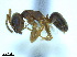  ( - BL-10540W-E01)  @15 [ ] CreativeCommons - Attribution Non-Commercial Share-Alike (2014) Alex Smith University of Guelph