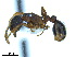  ( - BL-10540W-E07)  @13 [ ] CreativeCommons - Attribution Non-Commercial Share-Alike (2014) Alex Smith University of Guelph