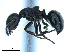  ( - BL-10540W-F03)  @11 [ ] CreativeCommons - Attribution Non-Commercial Share-Alike (2014) Alex Smith University of Guelph