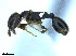  ( - BL-10540W-F09)  @11 [ ] CreativeCommons - Attribution Non-Commercial Share-Alike (2014) Alex Smith University of Guelph