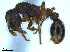  ( - BL-10540W-G03)  @11 [ ] CreativeCommons - Attribution Non-Commercial Share-Alike (2014) Alex Smith University of Guelph