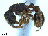  ( - BL-10540W-G04)  @11 [ ] CreativeCommons - Attribution Non-Commercial Share-Alike (2014) Alex Smith University of Guelph