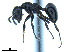  ( - BL-10540W-H10)  @11 [ ] CreativeCommons - Attribution Non-Commercial Share-Alike (2014) Alex Smith University of Guelph