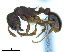  ( - BL-10540X-B08)  @11 [ ] CreativeCommons - Attribution Non-Commercial Share-Alike (2014) Alex Smith University of Guelph