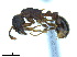  ( - BL-10540X-C04)  @11 [ ] CreativeCommons - Attribution Non-Commercial Share-Alike (2014) Alex Smith University of Guelph