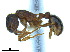  ( - BL-10540X-C09)  @11 [ ] CreativeCommons - Attribution Non-Commercial Share-Alike (2014) Alex Smith University of Guelph