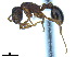  ( - BL-10540X-C10)  @11 [ ] CreativeCommons - Attribution Non-Commercial Share-Alike (2014) Alex Smith University of Guelph