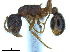  ( - BL-10540X-C12)  @14 [ ] CreativeCommons - Attribution Non-Commercial Share-Alike (2014) Alex Smith University of Guelph