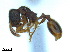  ( - BL-10540X-G03)  @11 [ ] CreativeCommons - Attribution Non-Commercial Share-Alike (2014) Alex Smith University of Guelph