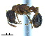  ( - BL-10540X-G09)  @11 [ ] CreativeCommons - Attribution Non-Commercial Share-Alike (2014) Alex Smith University of Guelph