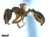  ( - BL-10540X-H01)  @13 [ ] CreativeCommons - Attribution Non-Commercial Share-Alike (2014) Alex Smith University of Guelph
