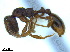  ( - BL-10540X-H02)  @11 [ ] CreativeCommons - Attribution Non-Commercial Share-Alike (2014) Alex Smith University of Guelph