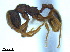  ( - BL-10540X-H03)  @13 [ ] CreativeCommons - Attribution Non-Commercial Share-Alike (2014) Alex Smith University of Guelph