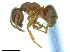  ( - BL-10540X-H05)  @13 [ ] CreativeCommons - Attribution Non-Commercial Share-Alike (2014) Alex Smith University of Guelph