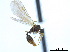  ( - CCDB-22408-H01)  @13 [ ] CreativeCommons - Attribution Non-Commercial Share-Alike (2014) Alex Smith University of Guelph