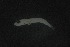  ( - FLMOO_1093)  @12 [ ] No Rights Reserved  Unspecified Unspecified