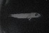  ( - FLMOO_1111)  @12 [ ] No Rights Reserved  Unspecified Unspecified
