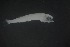  ( - FLMOO_1159)  @12 [ ] No Rights Reserved  Unspecified Unspecified