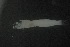  ( - FLMOO_1207)  @12 [ ] No Rights Reserved  Unspecified Unspecified