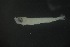  ( - FLMOO_1238)  @12 [ ] No Rights Reserved  Unspecified Unspecified