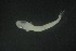  ( - FLMOO_1240)  @12 [ ] No Rights Reserved  Unspecified Unspecified