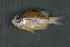  ( - FLMOO_1269)  @14 [ ] No Rights Reserved  Unspecified Unspecified