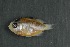  ( - FLMOO_1273)  @13 [ ] No Rights Reserved  Unspecified Unspecified
