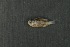  ( - FLMOO_1283)  @12 [ ] No Rights Reserved  Unspecified Unspecified