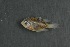  ( - FLMOO_1319)  @13 [ ] No Rights Reserved  Unspecified Unspecified