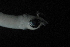  ( - FLMOO_194)  @12 [ ] No Rights Reserved  Unspecified Unspecified