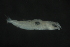  ( - FLMOO_210)  @13 [ ] No Rights Reserved  Unspecified Unspecified
