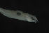  ( - FLMOO_210)  @12 [ ] No Rights Reserved  Unspecified Unspecified