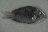  ( - FLMOO_295)  @13 [ ] No Rights Reserved  Unspecified Unspecified