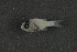  ( - FLMOO_304)  @12 [ ] No Rights Reserved  Unspecified Unspecified