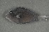  ( - FLMOO_332)  @13 [ ] No Rights Reserved  Unspecified Unspecified
