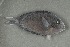  ( - FLMOO_333)  @13 [ ] No Rights Reserved  Unspecified Unspecified